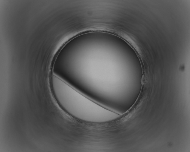 X0000091661093200708230945