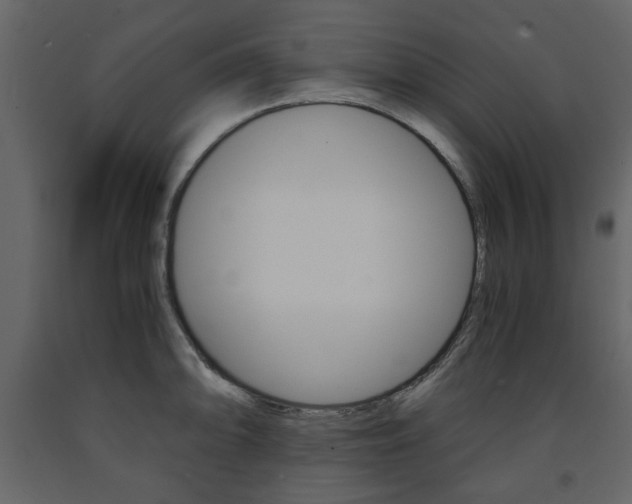 X0000091661094200708230945