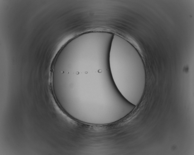 X0000091661095200708230944