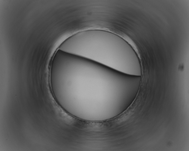 X0000091661096200708230944