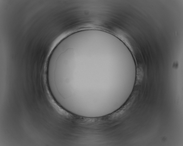 X0000091661098200708230944