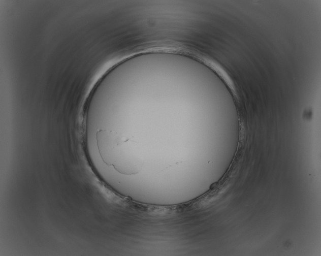 X0000091661099200708230944