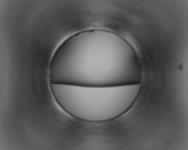 X0000091661100200708230944