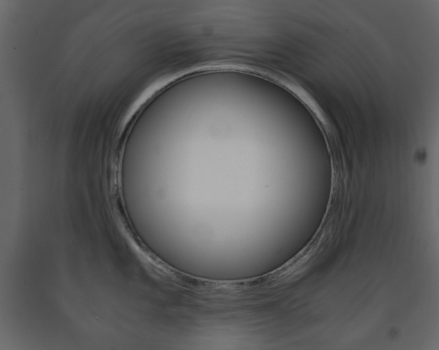 X0000091661101200708230944