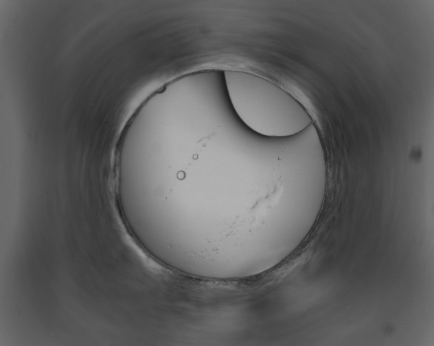 X0000091661103200708230944