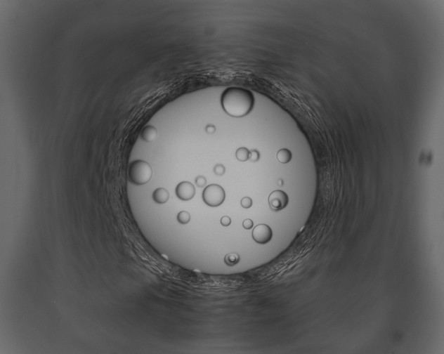 X0000091661105200708230944