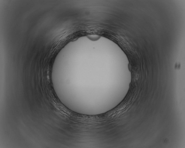 X0000091661106200708230944