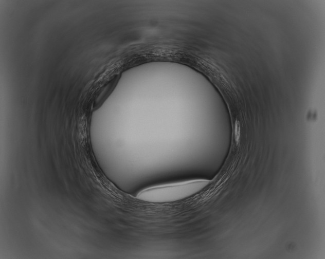 X0000091661107200708230944