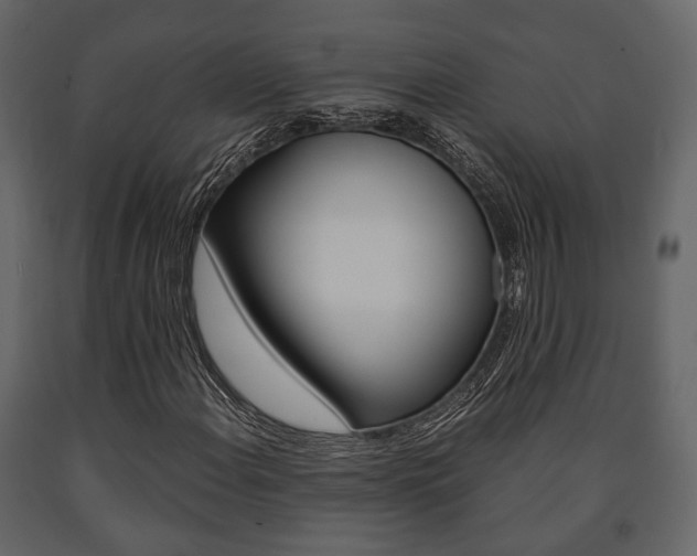X0000091661108200708230944