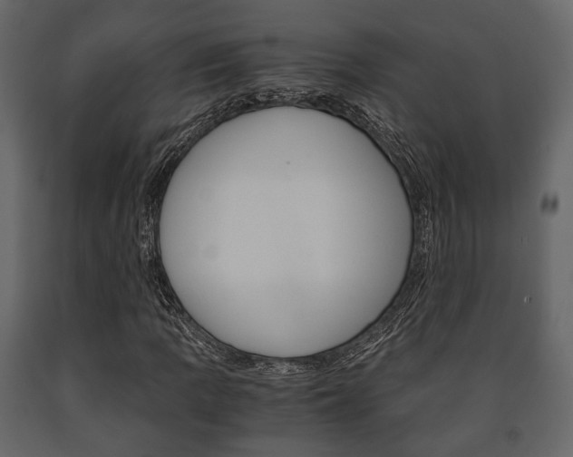 X0000091661109200708230944