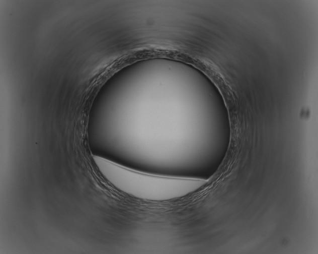 X0000091661110200708230944