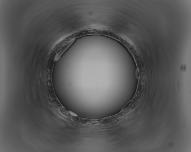 X0000091661112200708230944