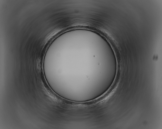 X0000091661113200708230944