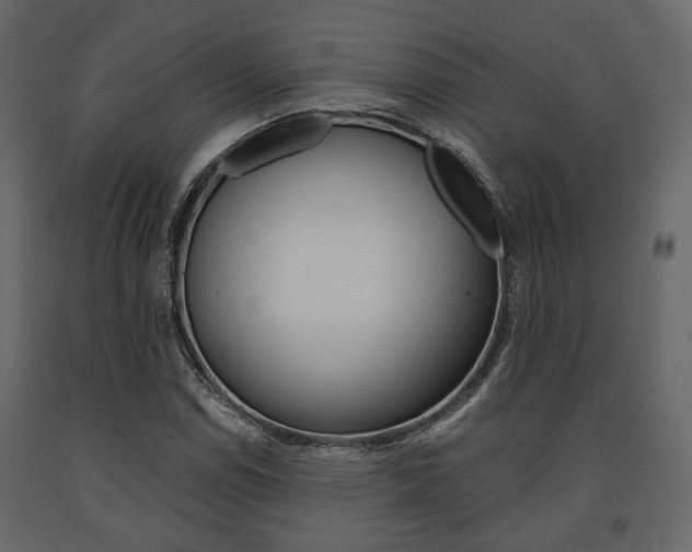 X0000091661114200708230944