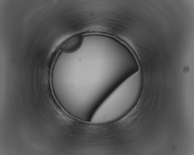 X0000091661115200708230944