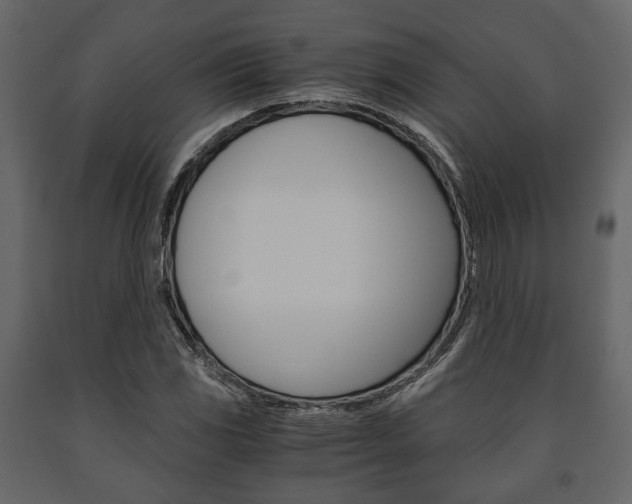 X0000091661117200708230944