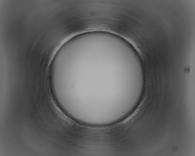 X0000091661118200708230944