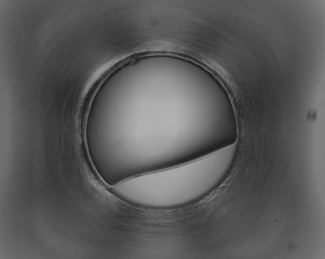 X0000091661120200708230944