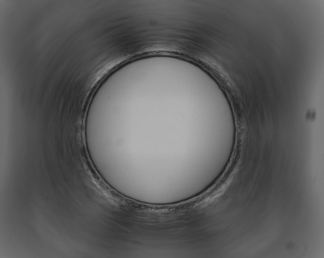 X0000091661121200708230944