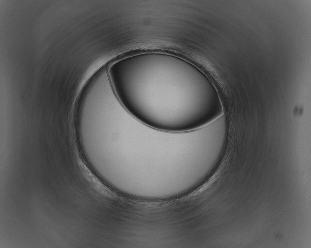 X0000091661122200708230944