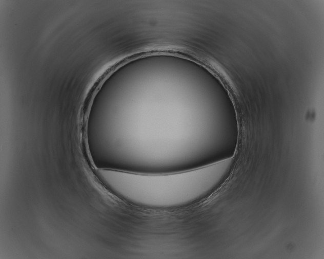 X0000091661124200708230944