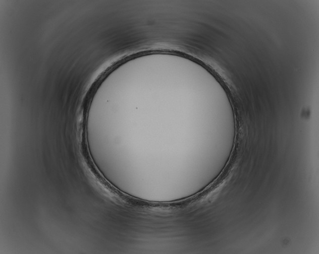 X0000091661126200708230944