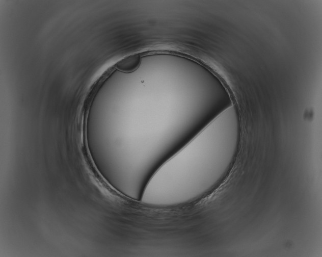 X0000091661127200708230944