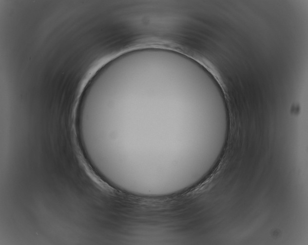 X0000091661128200708230944