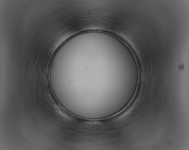 X0000091661129200708230944