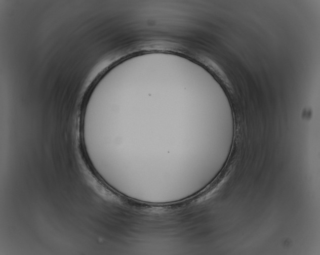 X0000091661130200708230944