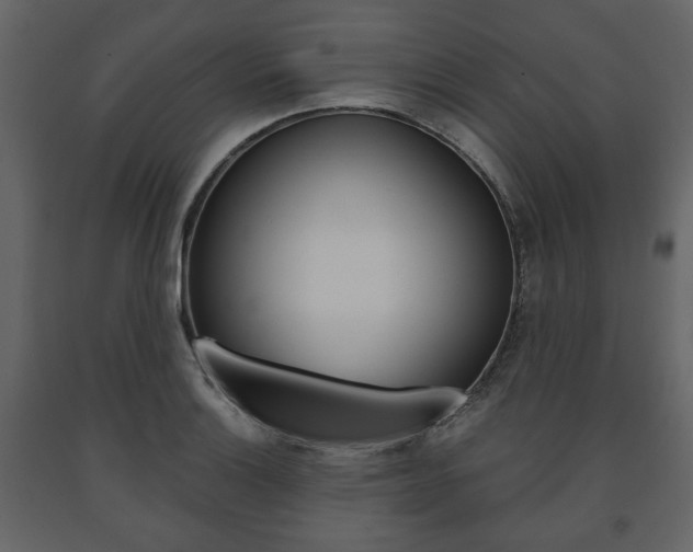 X0000091661132200708230944