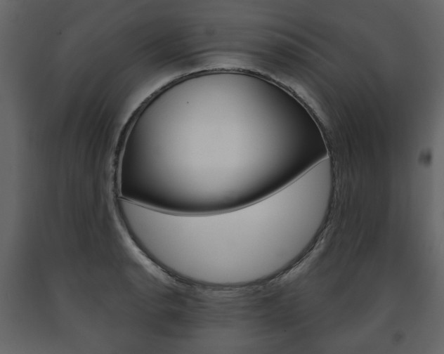 X0000091661134200708230944
