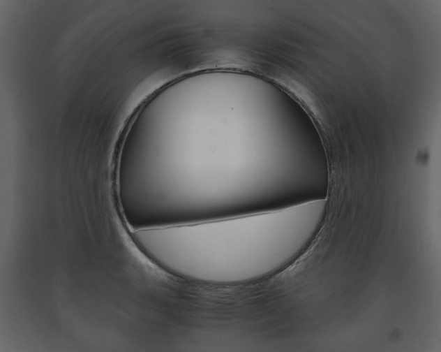 X0000091661135200708230944
