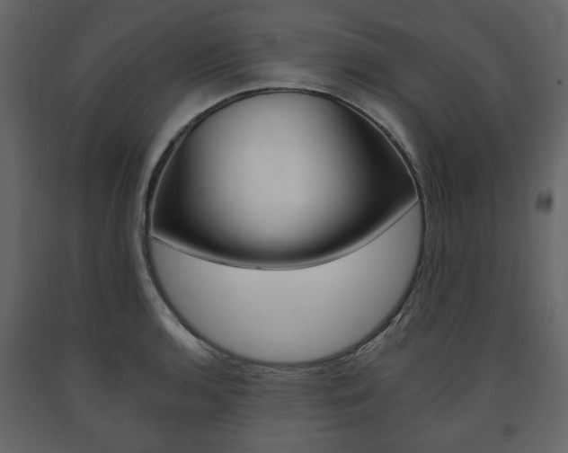 X0000091661136200708230944