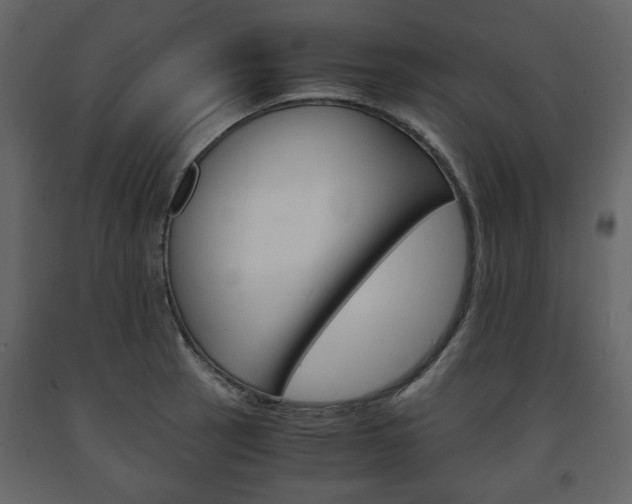 X0000091661137200708230944
