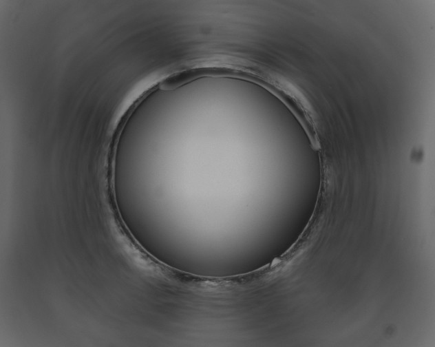 X0000091661138200708230944