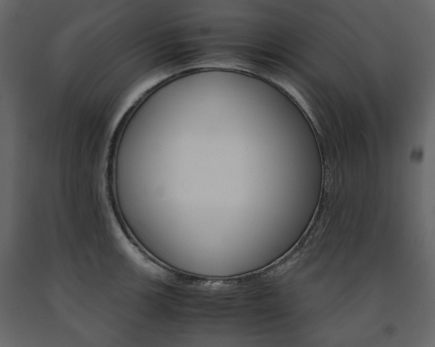 X0000091661139200708230944