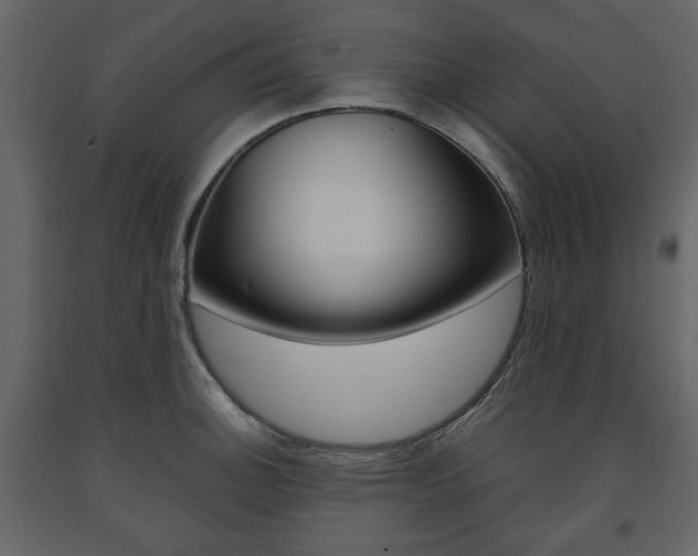 X0000091661140200708230944