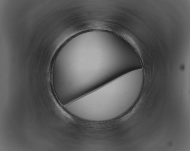 X0000091661141200708230944