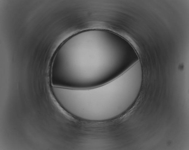 X0000091661142200708230944
