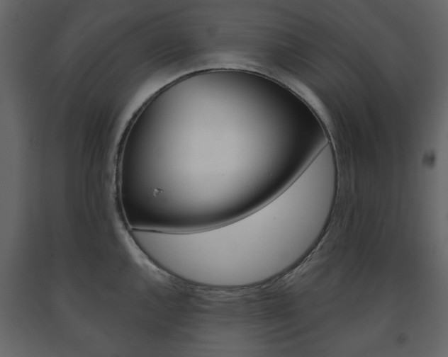 X0000091661144200708230944