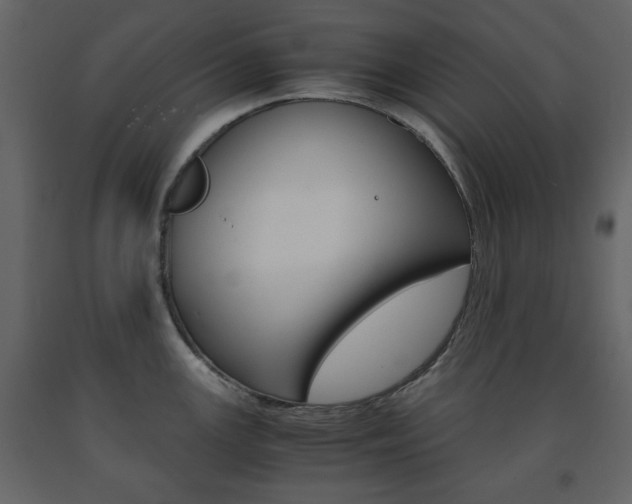 X0000091661147200708230944