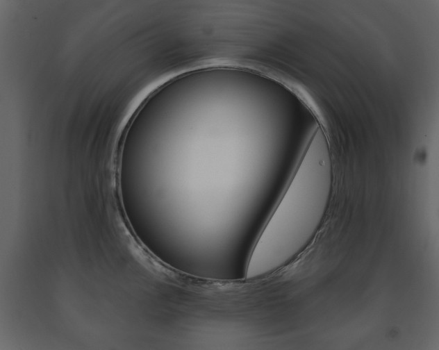 X0000091661148200708230944