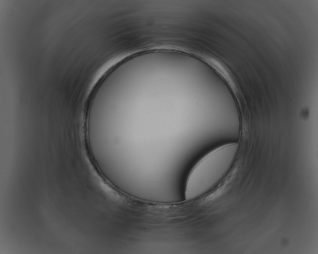 X0000091661149200708230944