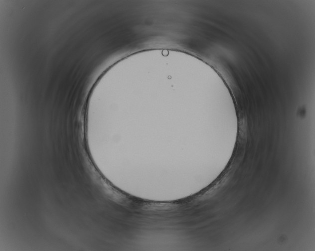 X0000091661150200708230944