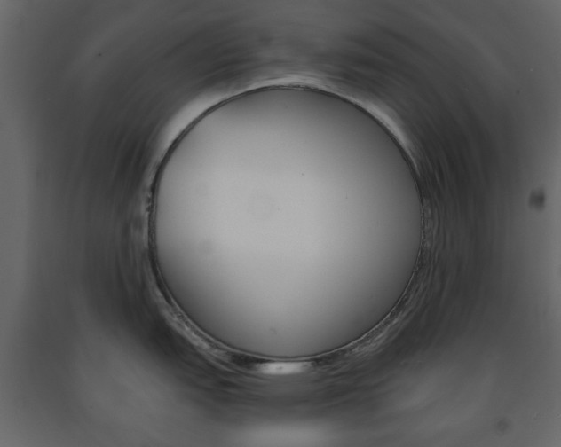 X0000091661151200708230944