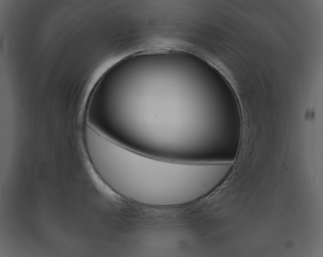 X0000091661152200708230944