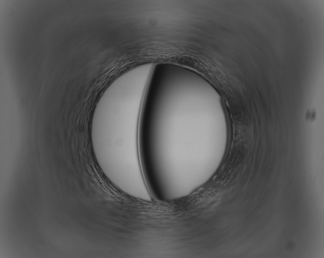 X0000091661153200708230944