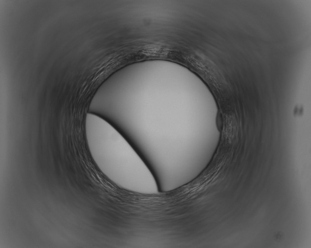 X0000091661154200708230944