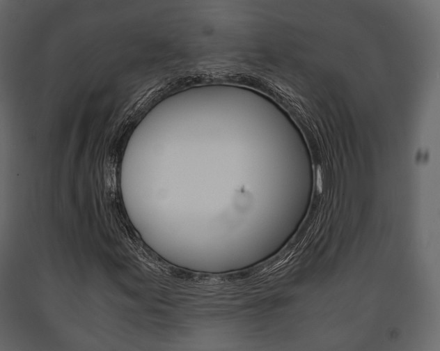 X0000091661155200708230943